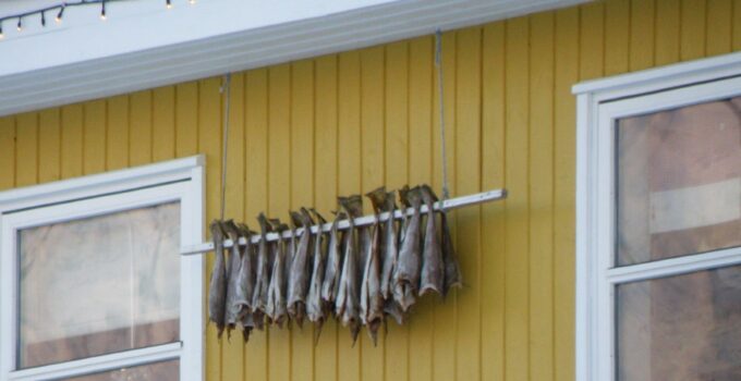 Image Of Freeze Dried Food, Freeze Dried Meat - File:fish Hanging To Dry In Sørvágur Faroe Islands.j